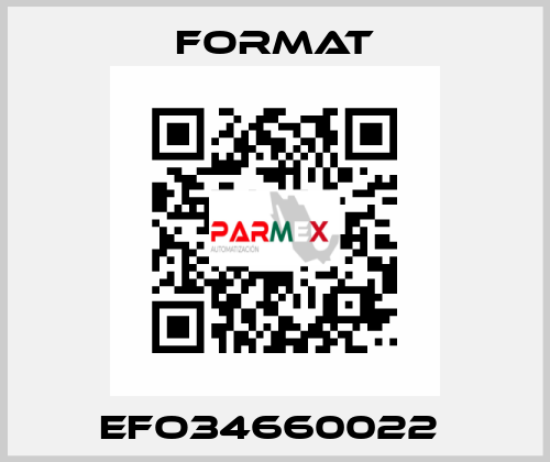 EFO34660022  Format