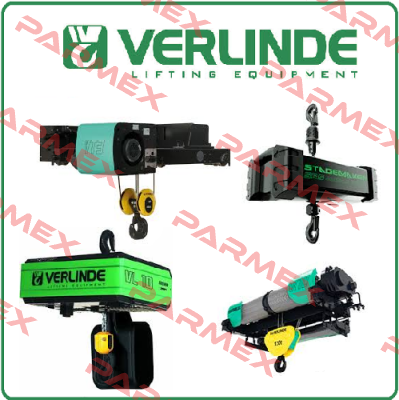 ELECTRIC WINCH 125 KG  Verlinde