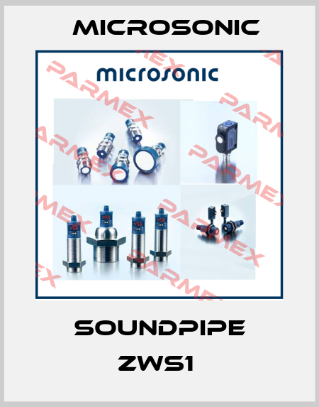 SoundPipe zws1  Microsonic