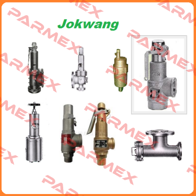 FF100-C-3/4"D1"-A11-212-CN2 5,5BARG  Jokwang