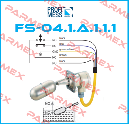 FS-04.1.A.1.1.1 Profimess