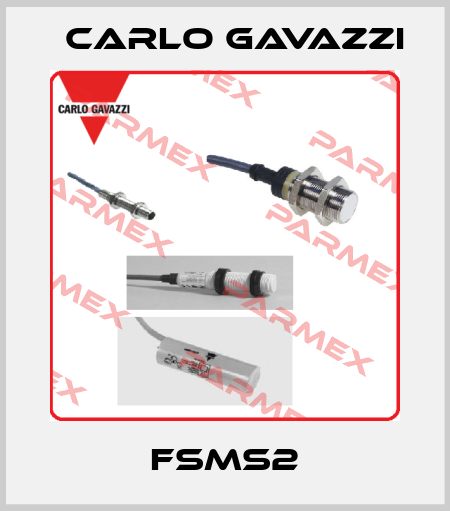 FSMS2 Carlo Gavazzi