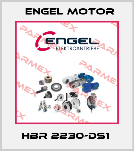 HBR 2230-DS1  Engel Motor