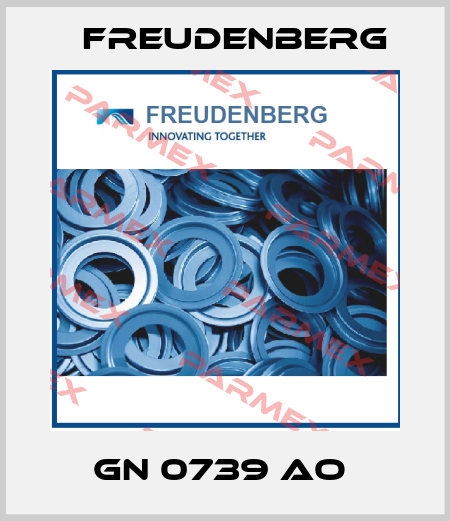 GN 0739 AO  Freudenberg