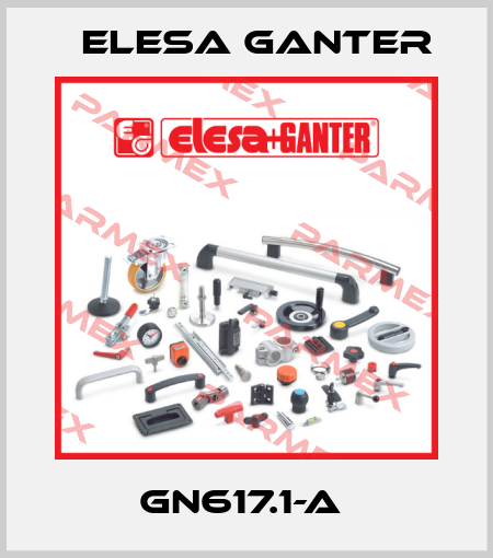 GN617.1-A  Elesa Ganter