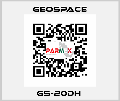 GS-20DH  GeoSpace