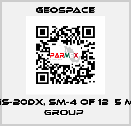 GS-20DX, SM-4 OF 12Х5 M, GROUP  GeoSpace