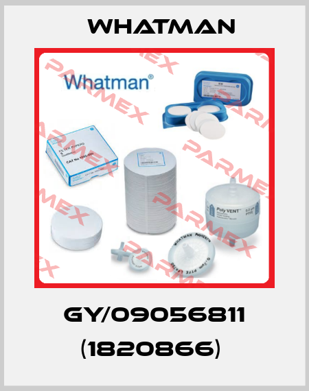 GY/09056811 (1820866)  Whatman