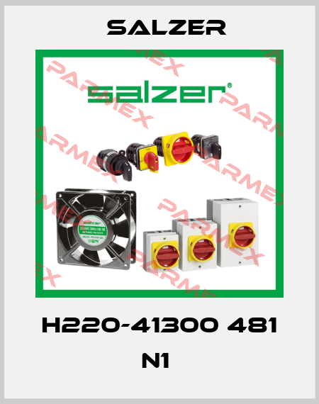 H220-41300 481 N1  Salzer