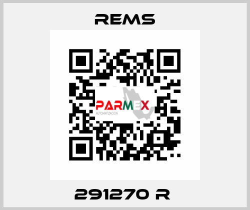 291270 R  Rems