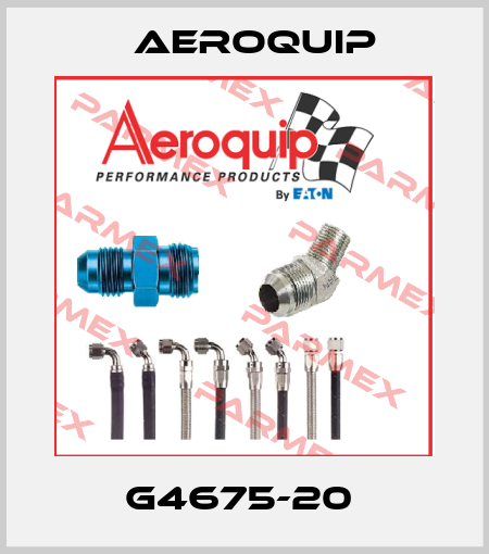 G4675-20  Aeroquip