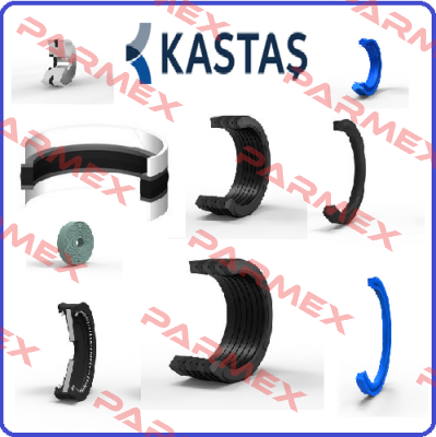 K21-016/1  Kastaş