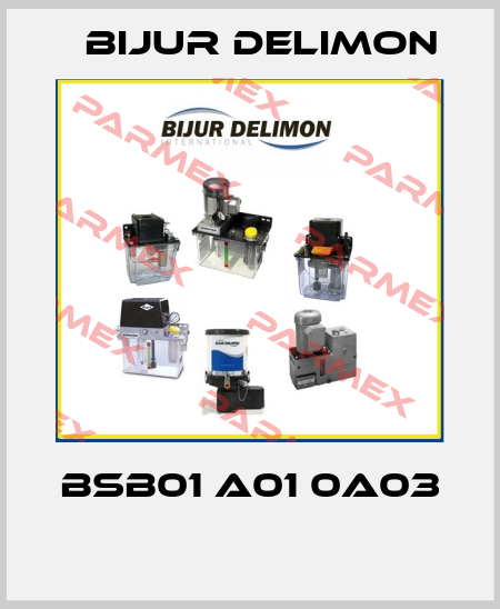 BSB01 A01 0A03  Bijur Delimon