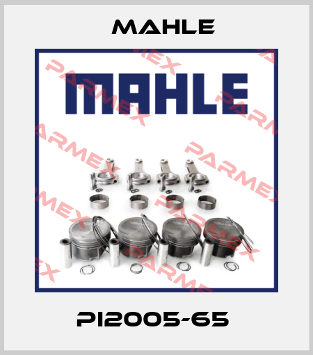 PI2005-65  MAHLE