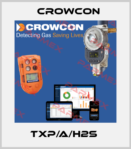 TXP/A/H2S  Crowcon