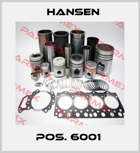 POS. 6001  Hansen