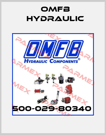 500-029-80340  OMFB Hydraulic