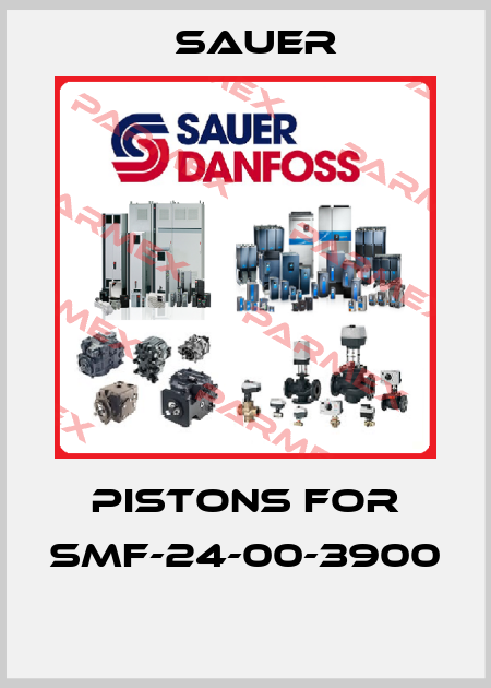 pistons for SMF-24-00-3900  Sauer