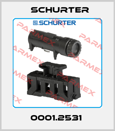 0001.2531  Schurter