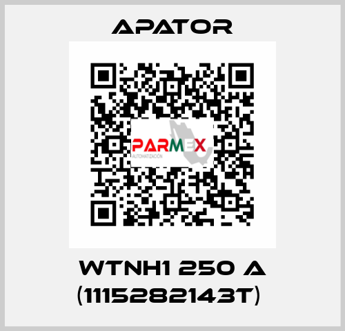 WTNH1 250 A (1115282143T)  Apator
