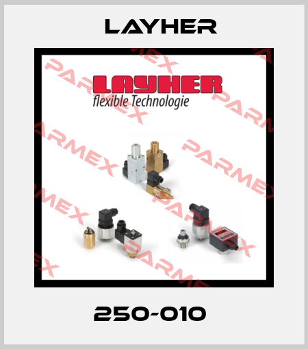 250-010  Layher