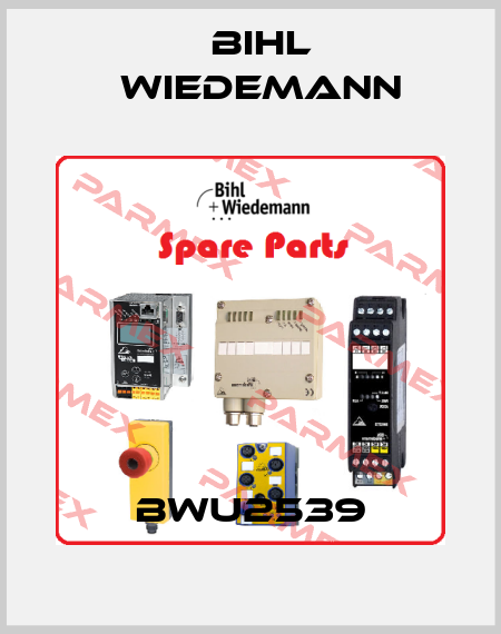 BWU2539 Bihl Wiedemann