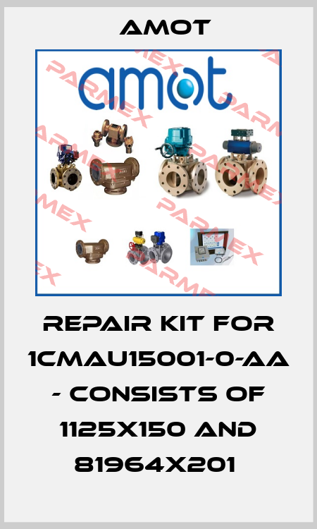 Repair kit for 1CMAU15001-0-AA - consists of 1125X150 and 81964X201  Amot