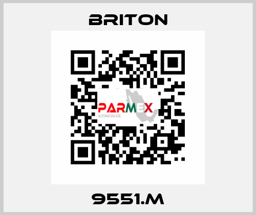 9551.M BRITON