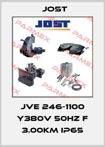 JVE 246-1100 Y380V 50HZ F 3.00KM IP65 Jost