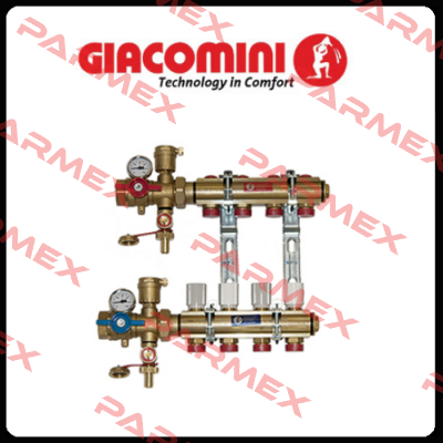 A53Y001 2.5" NPT X 2.5" NSTM Giacomini