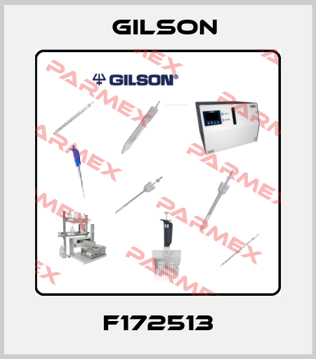 F172513 Gilson