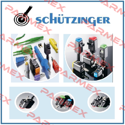 SDK 799 / RT Schutzinger