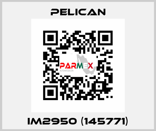 iM2950 (145771) Pelican