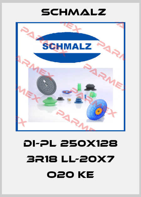 DI-PL 250x128 3R18 LL-20x7 O20 KE Schmalz