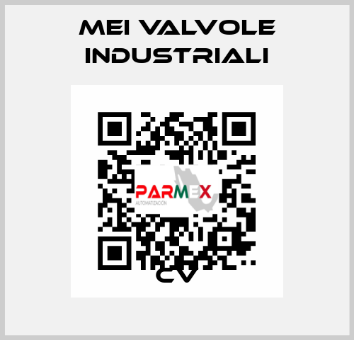 CV MEI VALVOLE INDUSTRIALI