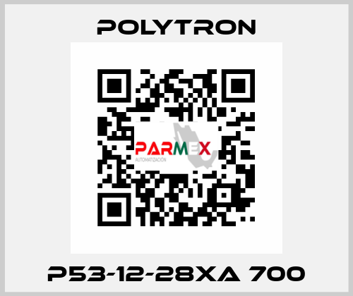 P53-12-28XA 700 Polytron