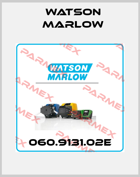 060.9131.02E Watson Marlow
