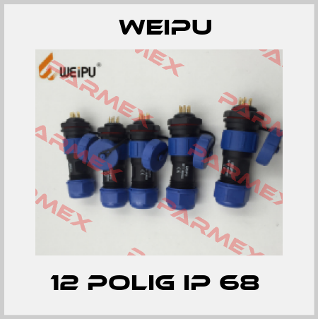12 POLIG IP 68  Weipu