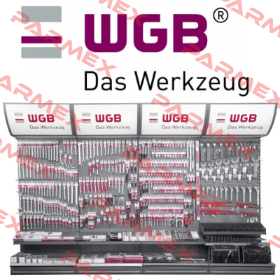 17290100 WGB