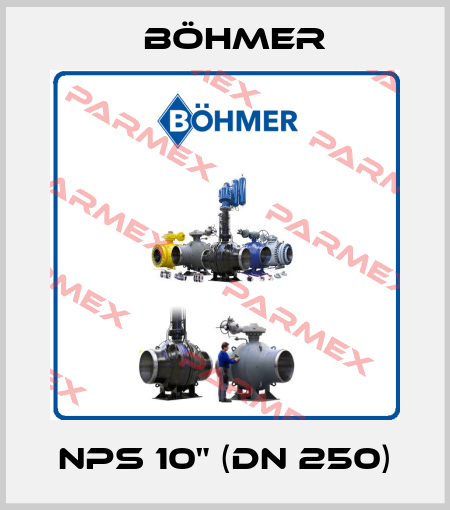 NPS 10" (DN 250) Böhmer
