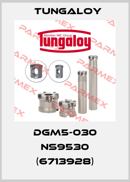 DGM5-030 NS9530 (6713928) Tungaloy