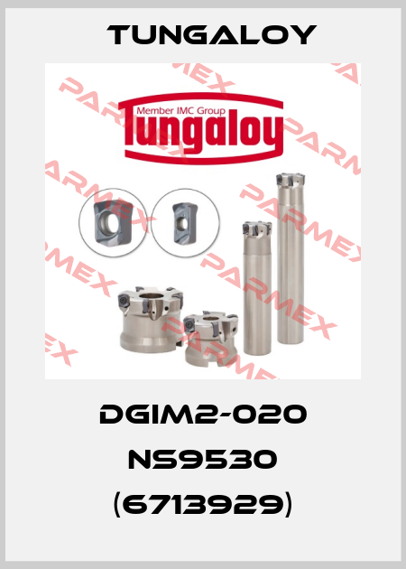 DGIM2-020 NS9530 (6713929) Tungaloy