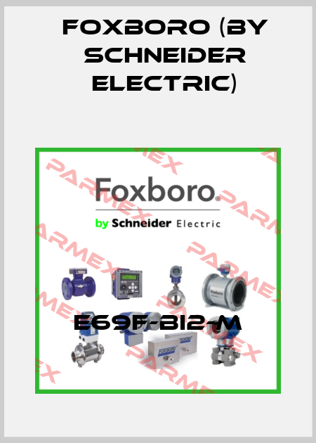 E69F-BI2-M Foxboro (by Schneider Electric)