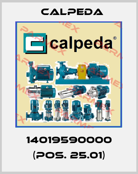 14019590000 (Pos. 25.01) Calpeda