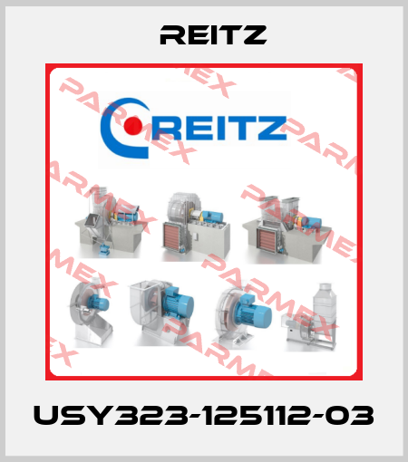 USY323-125112-03 Reitz