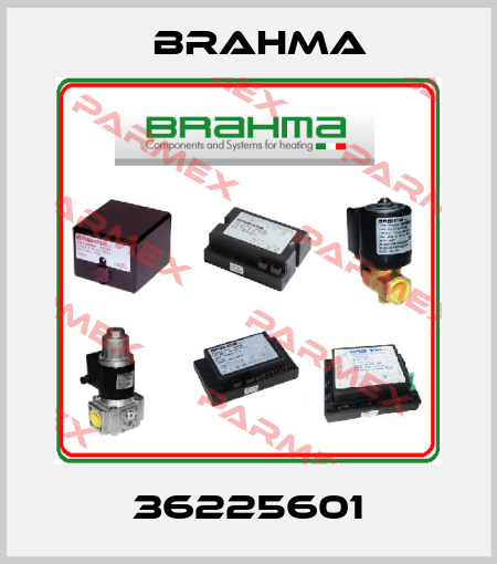 36225601 Brahma