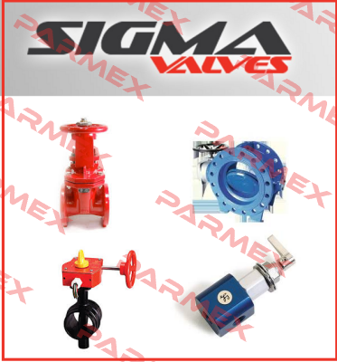 Repair Kit for 20HM104 Sigma Valves