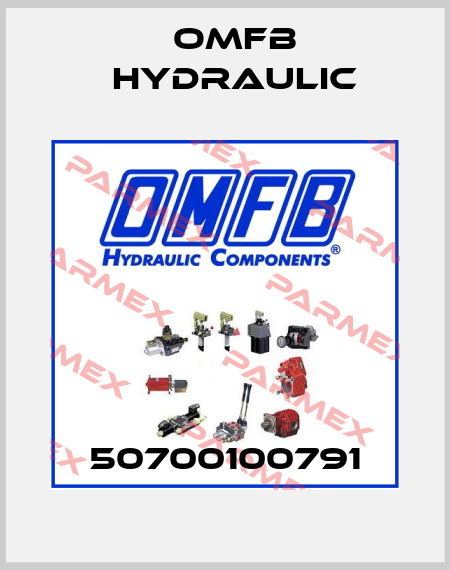 50700100791 OMFB Hydraulic