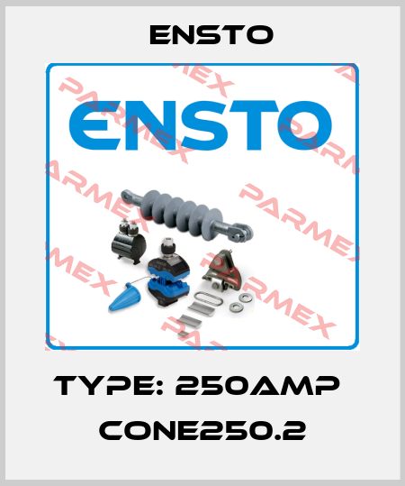 Type: 250Amp  CONE250.2 Ensto