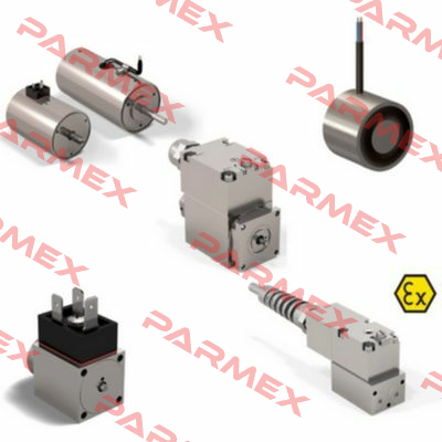 Twin solenoid Ex 04 Schienle